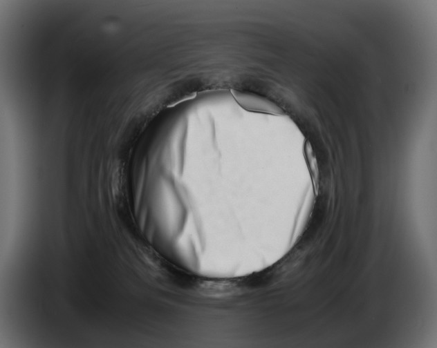 X0000082950133200703020158