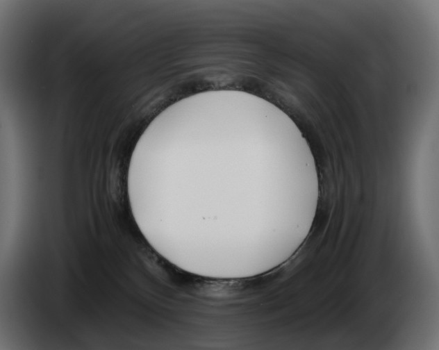 X0000082950136200703020158