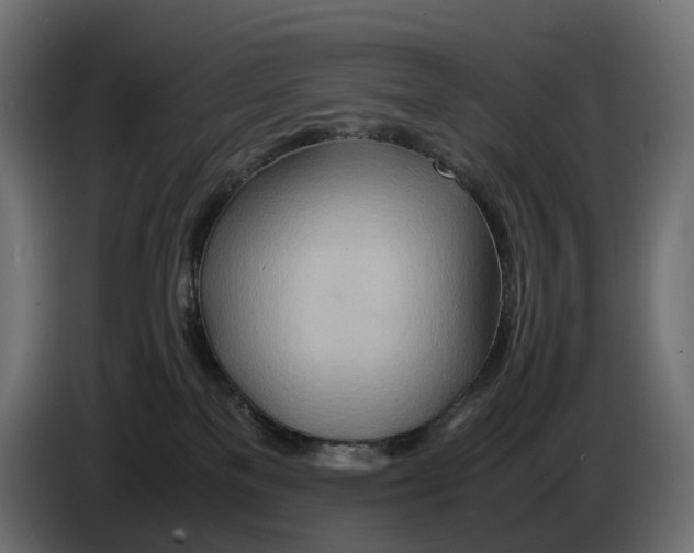 X0000082950137200703020158