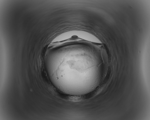 X0000082950139200703020158