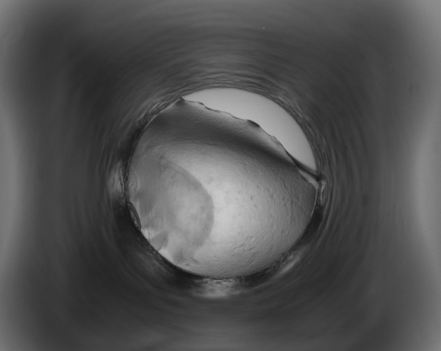 X0000082950143200703020158