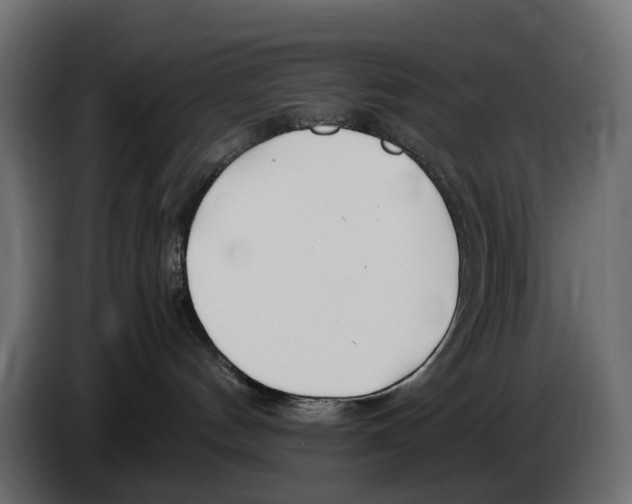 X0000082950144200703020158