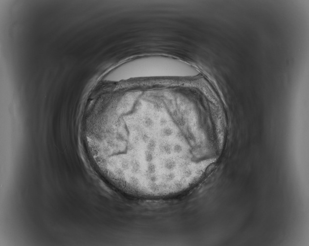 X0000082950145200703020157