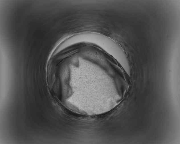 X0000082950148200703020157