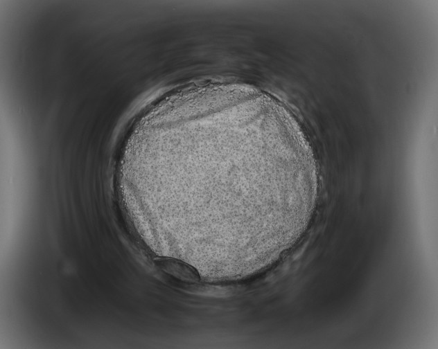 X0000082950149200703020157