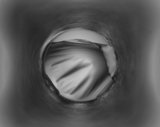 X0000082950150200703020157