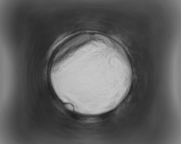 X0000082950151200703020157