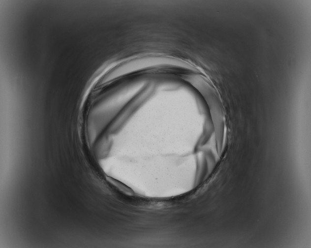 X0000082950152200703020157