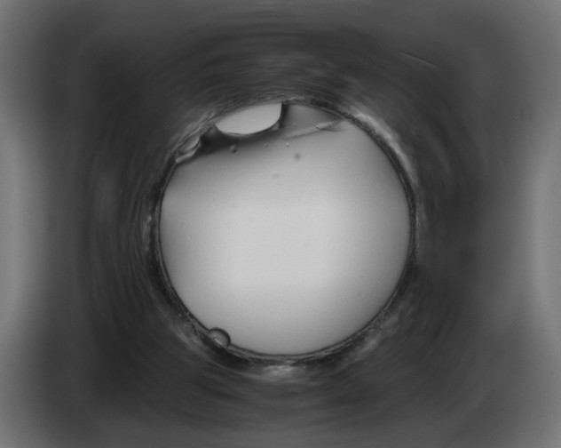 X0000082950153200703020157