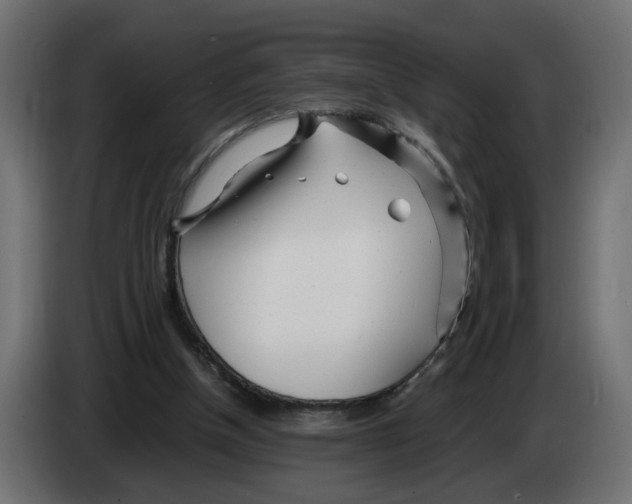 X0000082950154200703020157