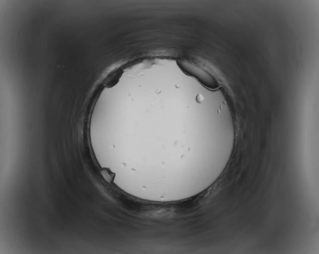 X0000082950155200703020157