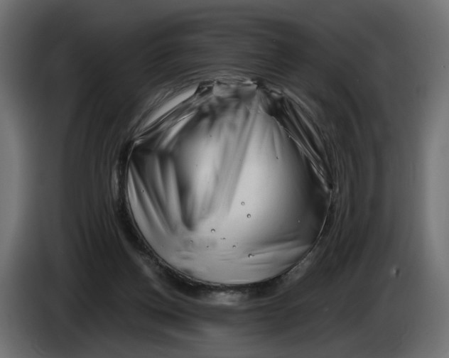 X0000082950158200703020157