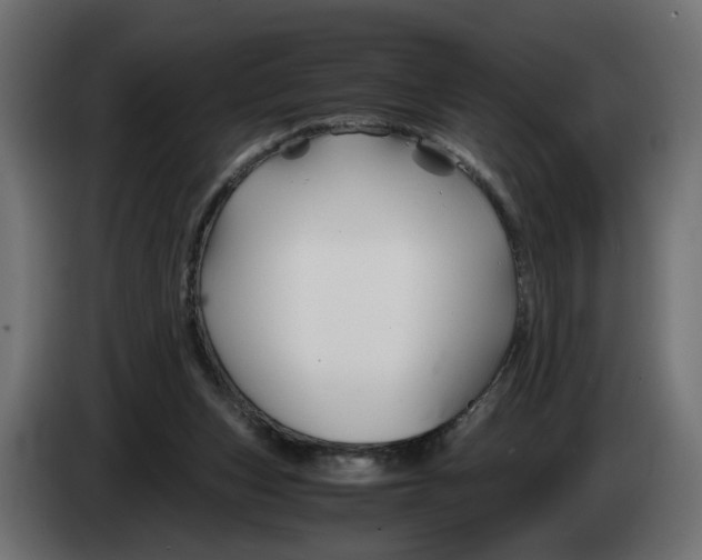 X0000082950159200703020157