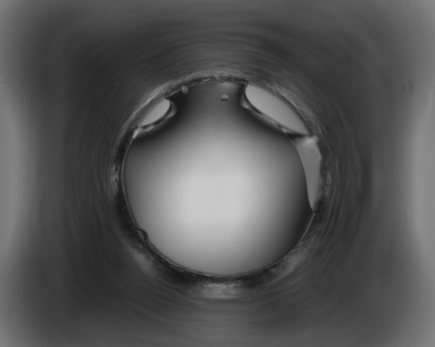 X0000082950160200703020157