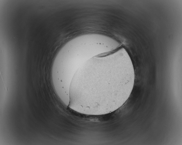 X0000082950162200703020157