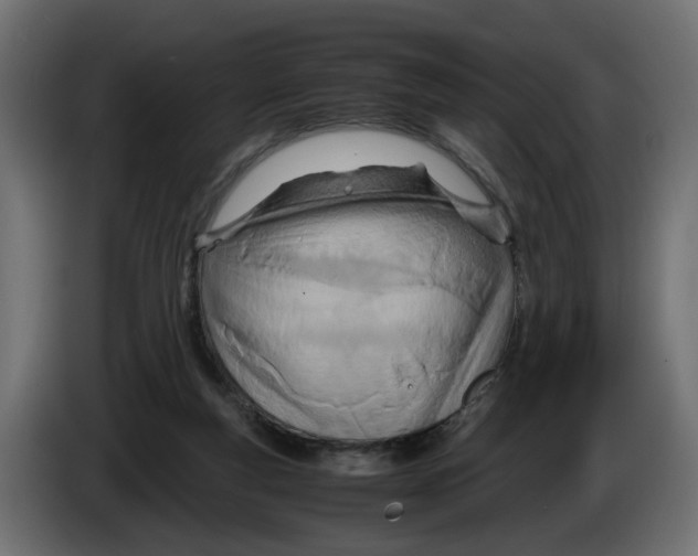 X0000082950163200703020157