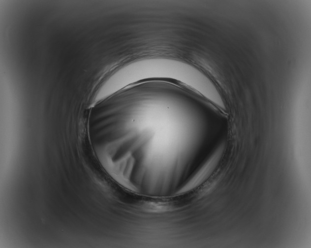 X0000082950164200703020157