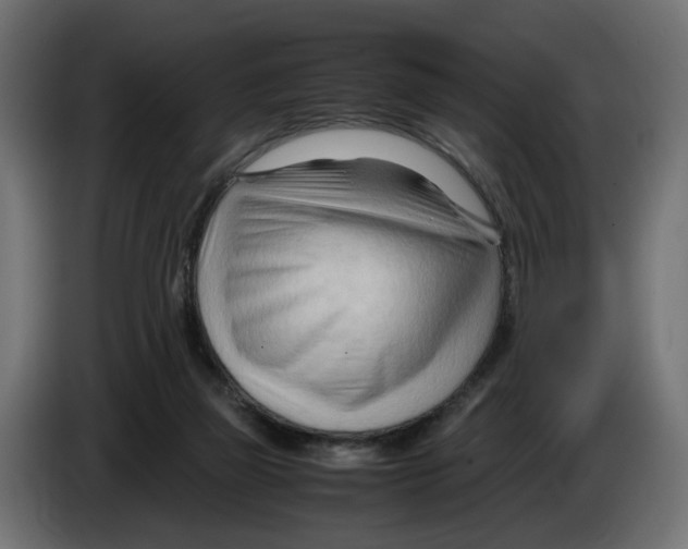 X0000082950165200703020157