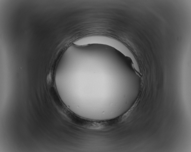 X0000082950166200703020157