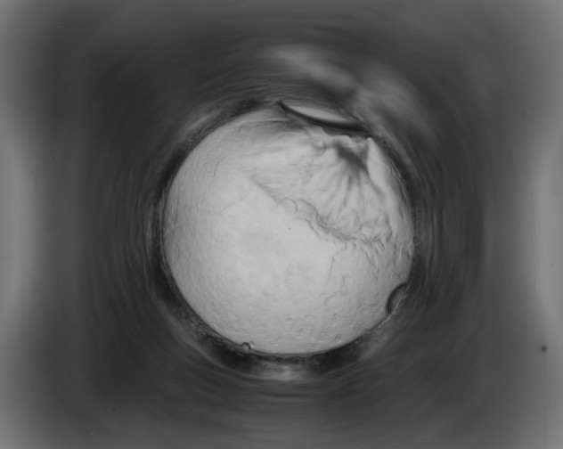 X0000082950167200703020157