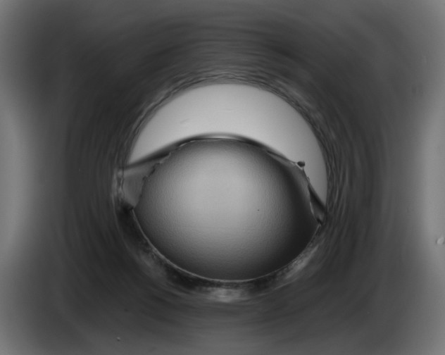 X0000082950168200703020157