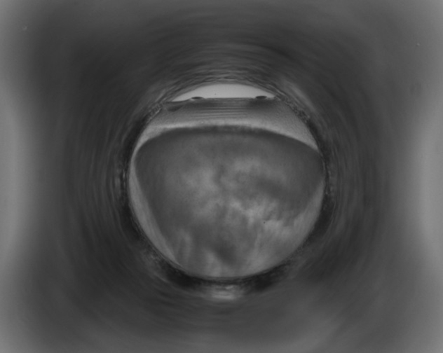 X0000082950169200703020157