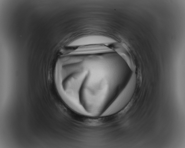 X0000082950170200703020157