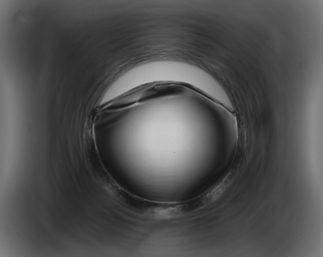 X0000082950172200703020157