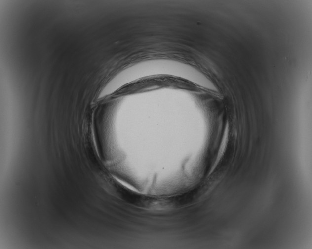 X0000082950173200703020157