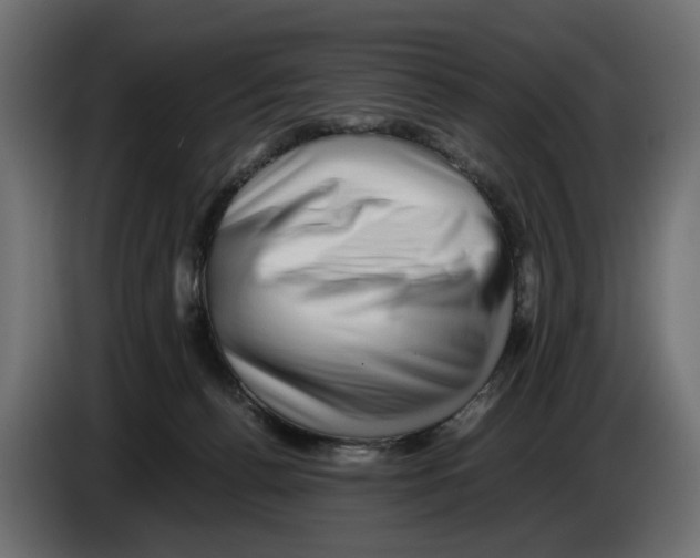 X0000082950176200703020158