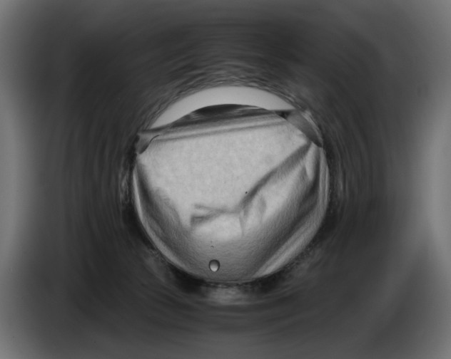 X0000082950177200703020158