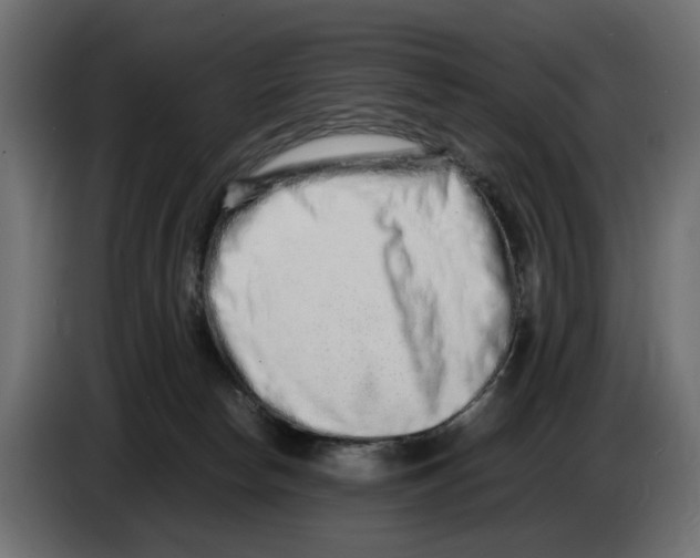 X0000082950178200703020158