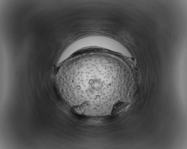 X0000082950179200703020158