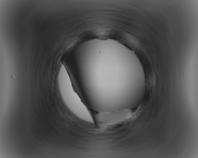 X0000082950180200703020158