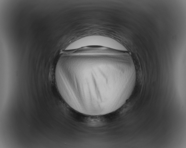 X0000082950181200703020158