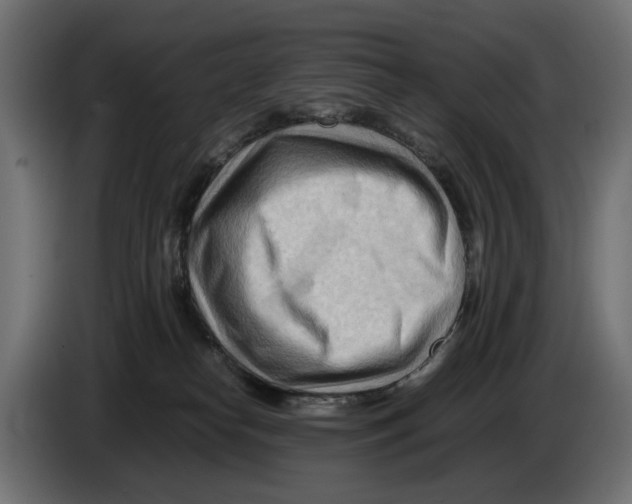 X0000082950182200703020158