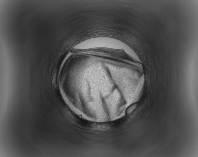 X0000082950185200703020158