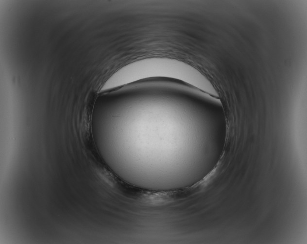 X0000082950186200703020158