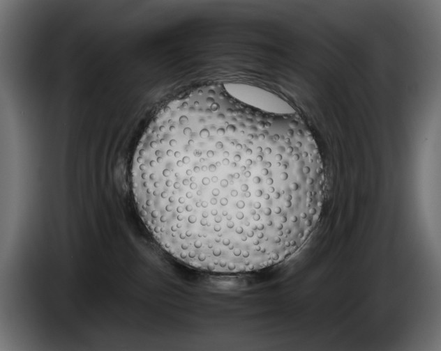 X0000082950187200703020158