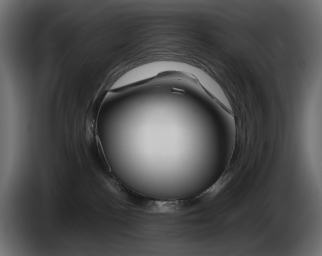 X0000082950188200703020158