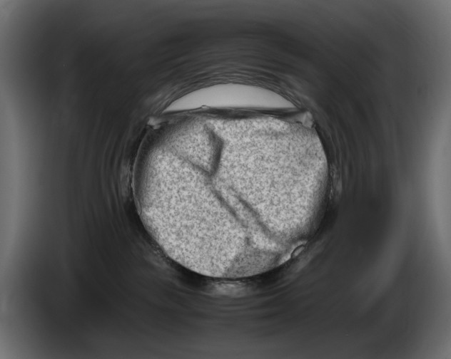 X0000082950189200703020158