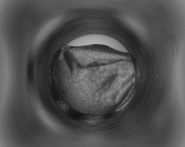 X0000082950191200703020158