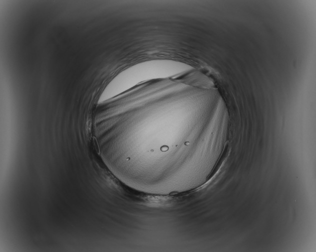 X0000082950192200703020158