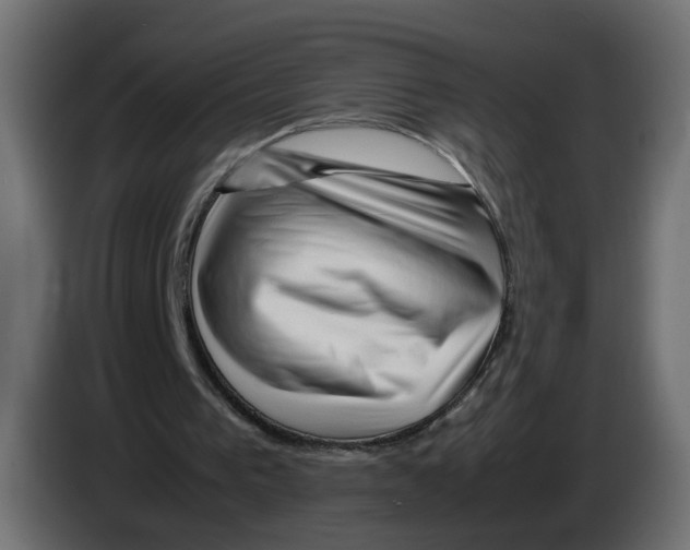 X0000082950193200703020157