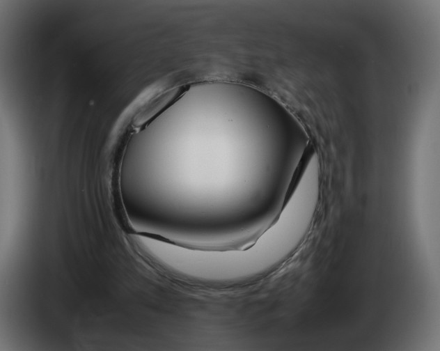 X0000082950197200703020157