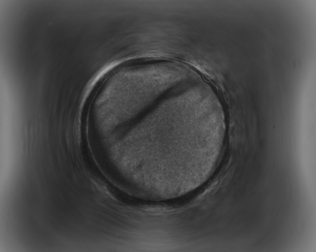 X0000082950200200703020157