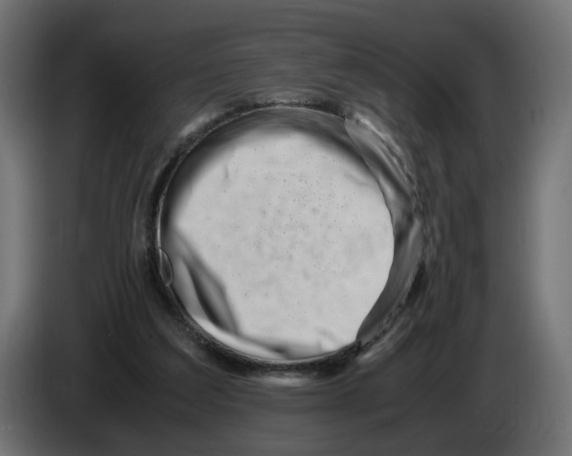 X0000082950203200703020157