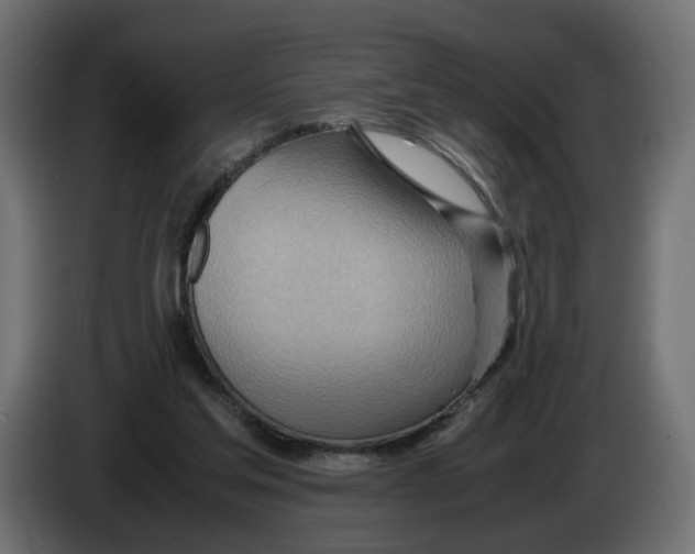 X0000082950205200703020157