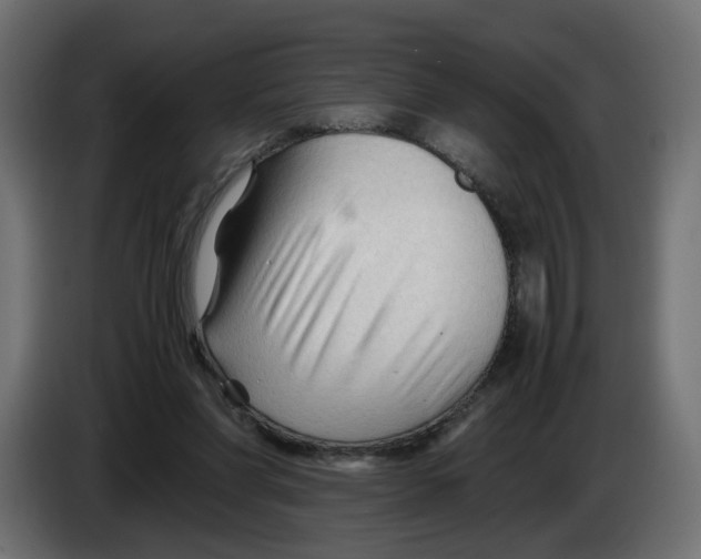 X0000082950206200703020157