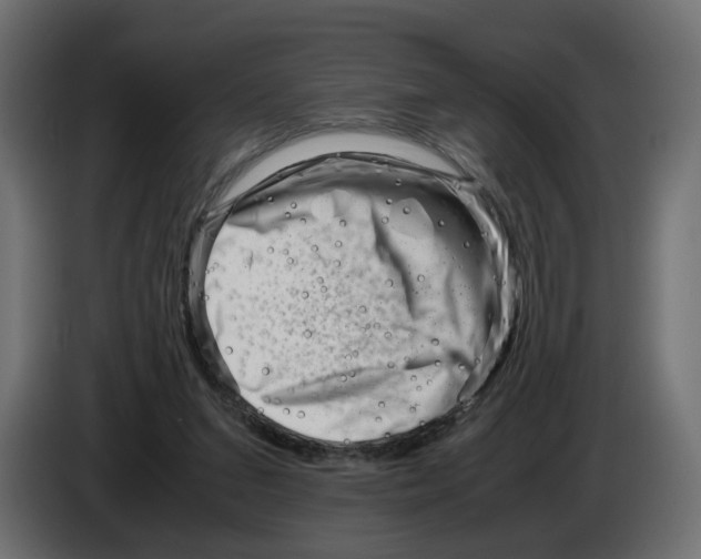 X0000082950207200703020157